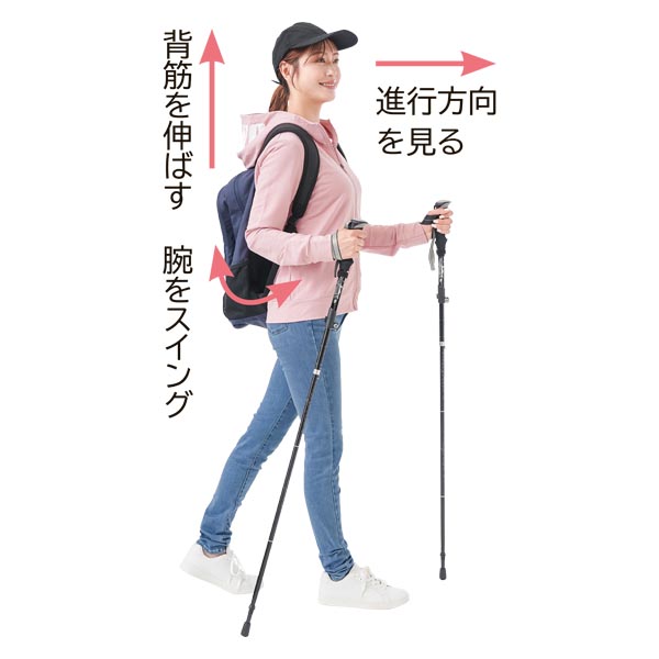 歩きたくなる 折りたたみ式 ウォーキングポール2本組