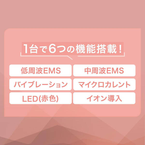 ミーゼ ニードルリフトブラシ